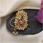 Women's Gold Color Nose Pin