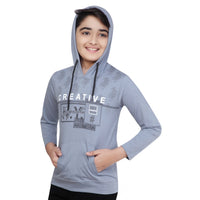 Boy's Cotton Printeded Hooded Neck Hoodies (Steel Blue)